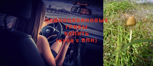 бутират Баксан