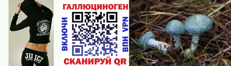 ОМГ ОМГ ONION  где найти   Чекалин  дарк нет какой сайт  Галлюциногенные грибы GOLDEN TEACHER 